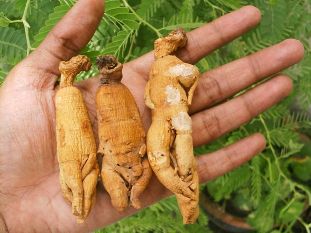 the tool to the power